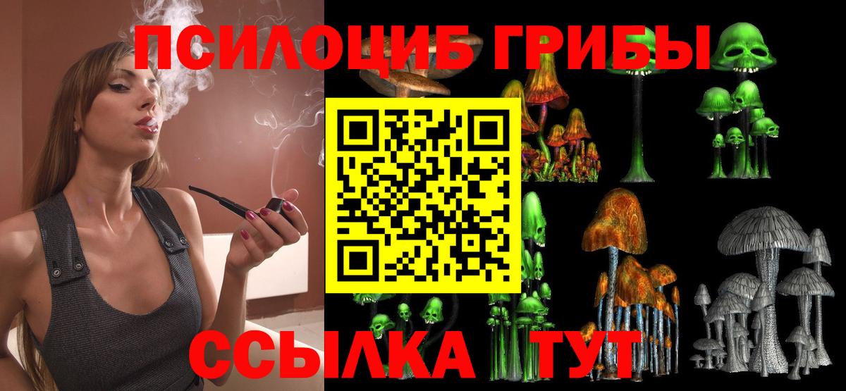Кемерово  Псилоцибиновые грибы Psilocybe  Вход с VPN  Галлюциногенные грибы Psilocybe 